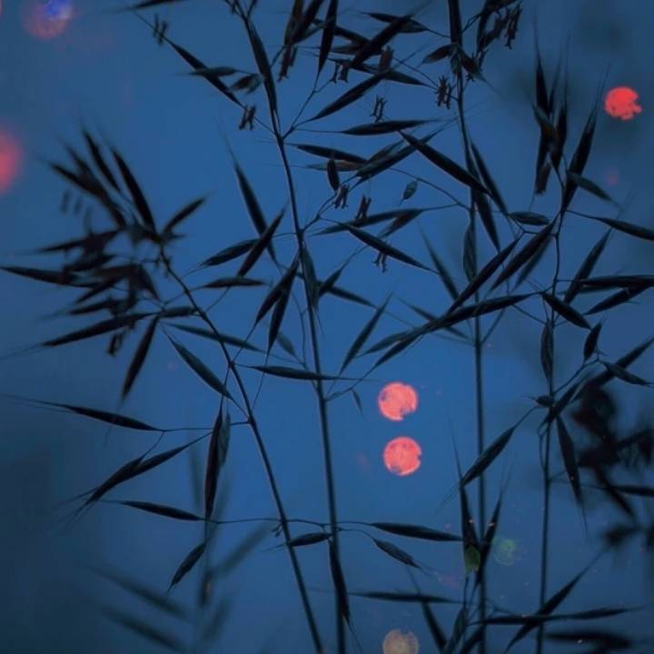 超级推荐资源位溢价出价越高越好吗[如何设置]