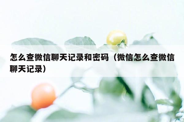 怎么查微信聊天记录和密码（微信怎么查微信聊天记录）