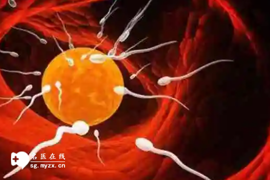 宁夏做第三代试管助孕的费用标准参考！花在哪一文看明白