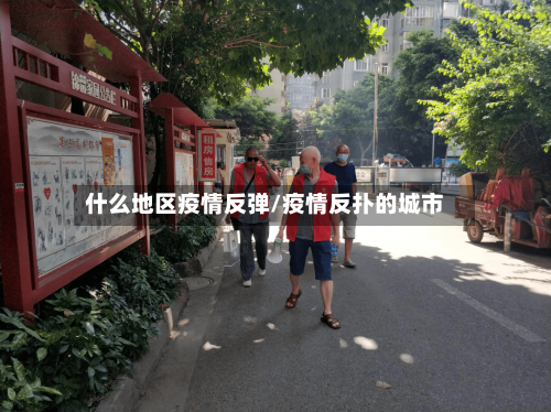 什么地区疫情反弹/疫情反扑的城市