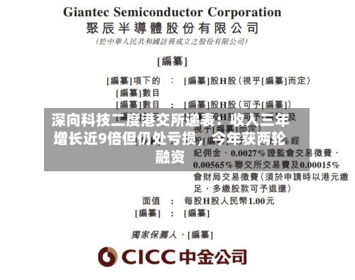 深向科技二度港交所递表：收入三年增长近9倍但仍处亏损，今年获两轮融资-第3张图片