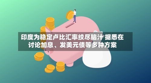 印度为稳定卢比汇率绞尽脑汁 据悉在讨论加息、发美元债等多种方案-第2张图片