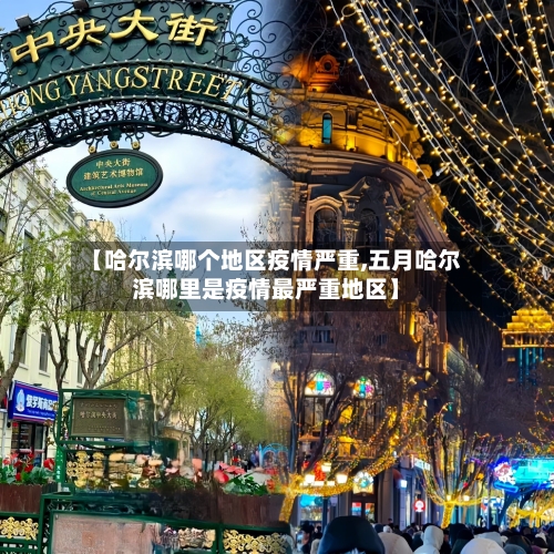 【哈尔滨哪个地区疫情严重,五月哈尔滨哪里是疫情最严重地区】-第2张图片