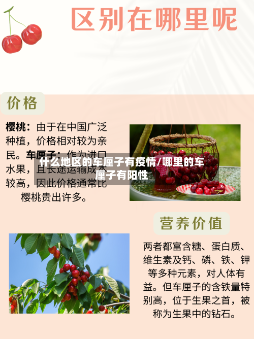 什么地区的车厘子有疫情/哪里的车厘子有阳性-第2张图片