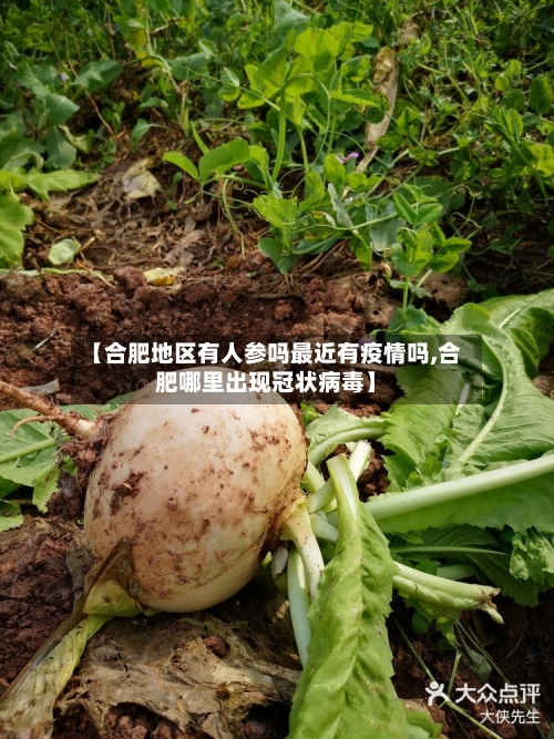 【合肥地区有人参吗最近有疫情吗,合肥哪里出现冠状病毒】