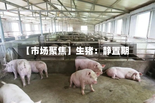【市场聚焦】生猪:静置期-第2张图片