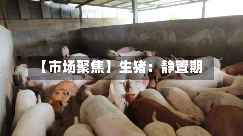 【市场聚焦】生猪:静置期-第3张图片