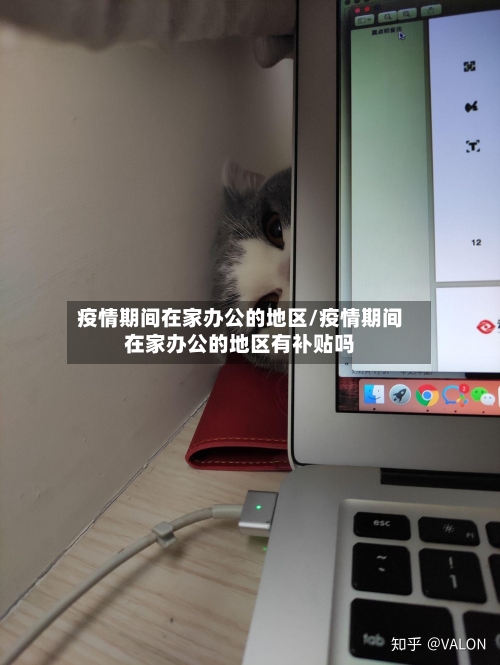 疫情期间在家办公的地区/疫情期间在家办公的地区有补贴吗
