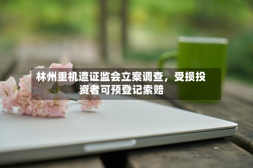 林州重机遭证监会立案调查，受损投资者可预登记索赔-第2张图片