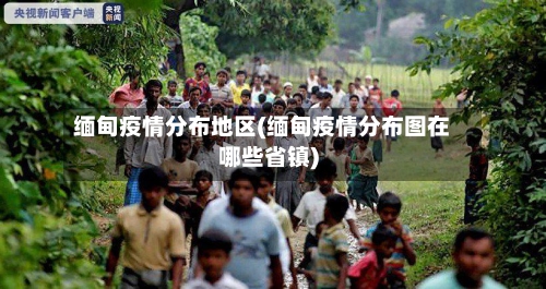 缅甸疫情分布地区(缅甸疫情分布图在哪些省镇)-第2张图片