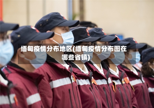 缅甸疫情分布地区(缅甸疫情分布图在哪些省镇)