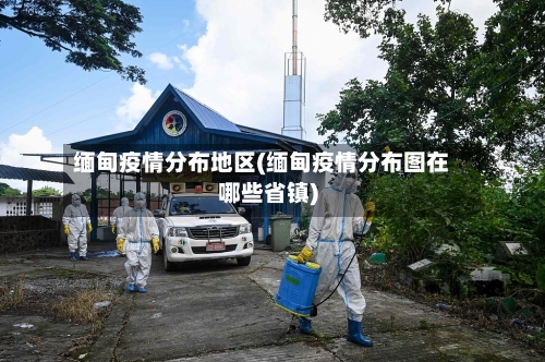 缅甸疫情分布地区(缅甸疫情分布图在哪些省镇)-第3张图片