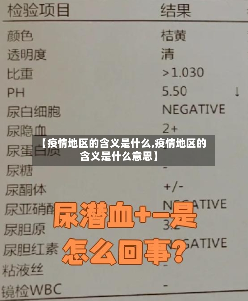 【疫情地区的含义是什么,疫情地区的含义是什么意思】-第2张图片