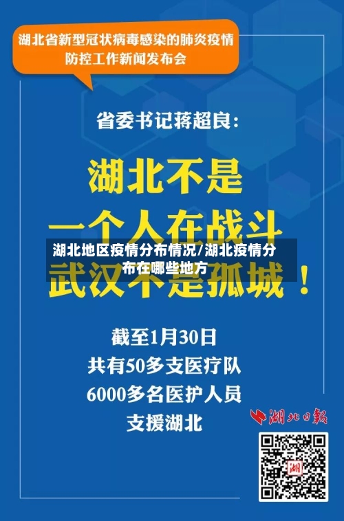湖北地区疫情分布情况/湖北疫情分布在哪些地方-第2张图片